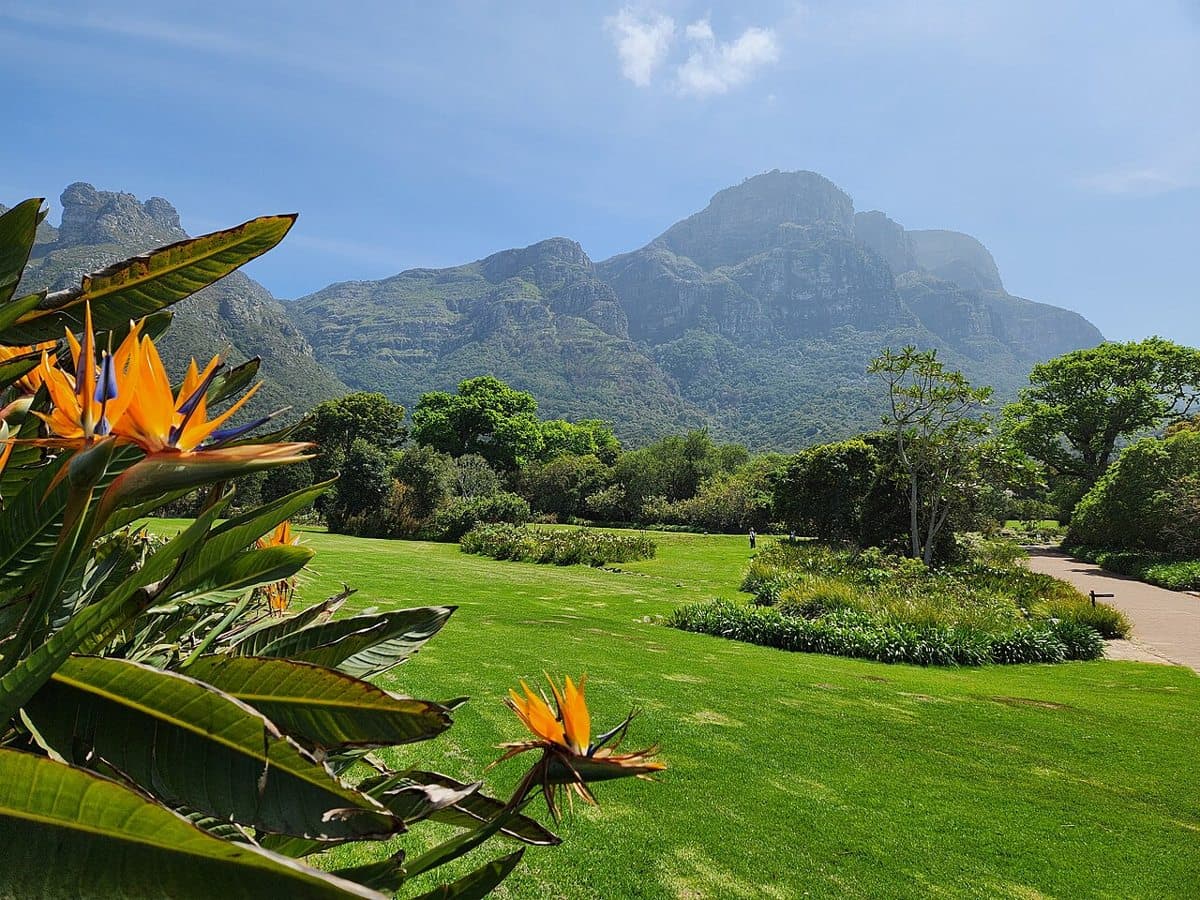 Kirstenbosch National Botanical Garden in October 2024