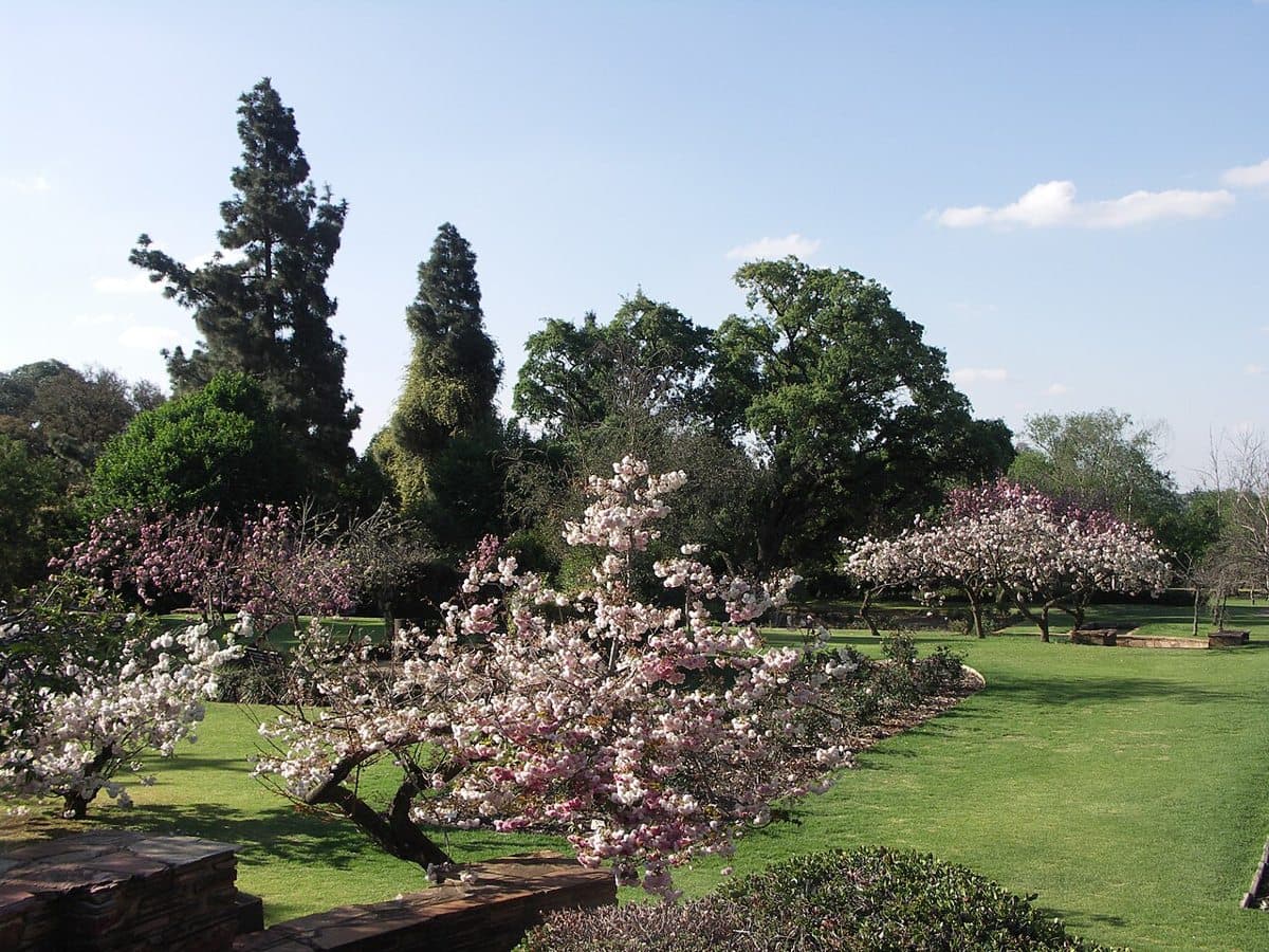 Portion of the Rose Gardens in the  Johannesburg Botanical Garden.