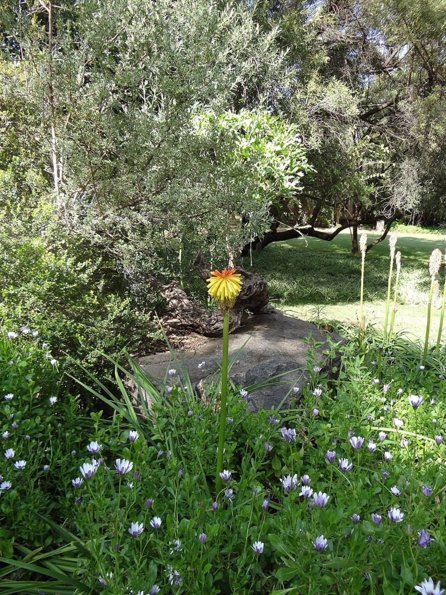 In the Free State National Botanical Garden